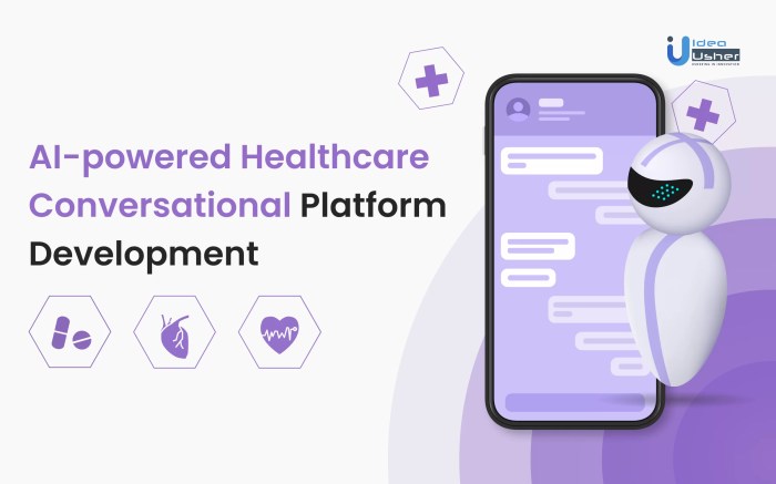 AI-powered Healthcare Conversational Platform Development - Idea Usher