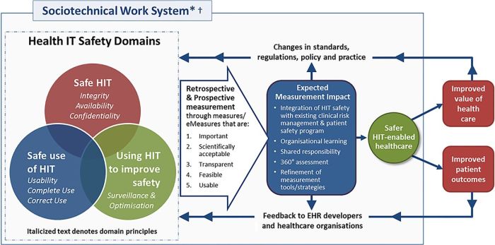 Measuring and improving patient safety through health information ...