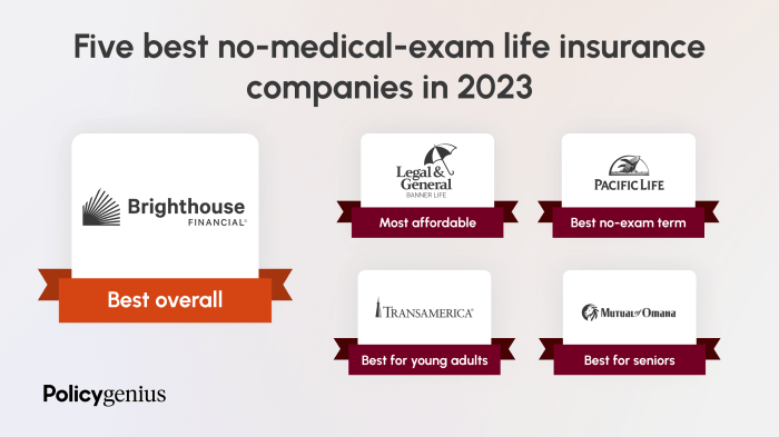 Best No-Exam Life Insurance Companies (2025) – Policygenius
